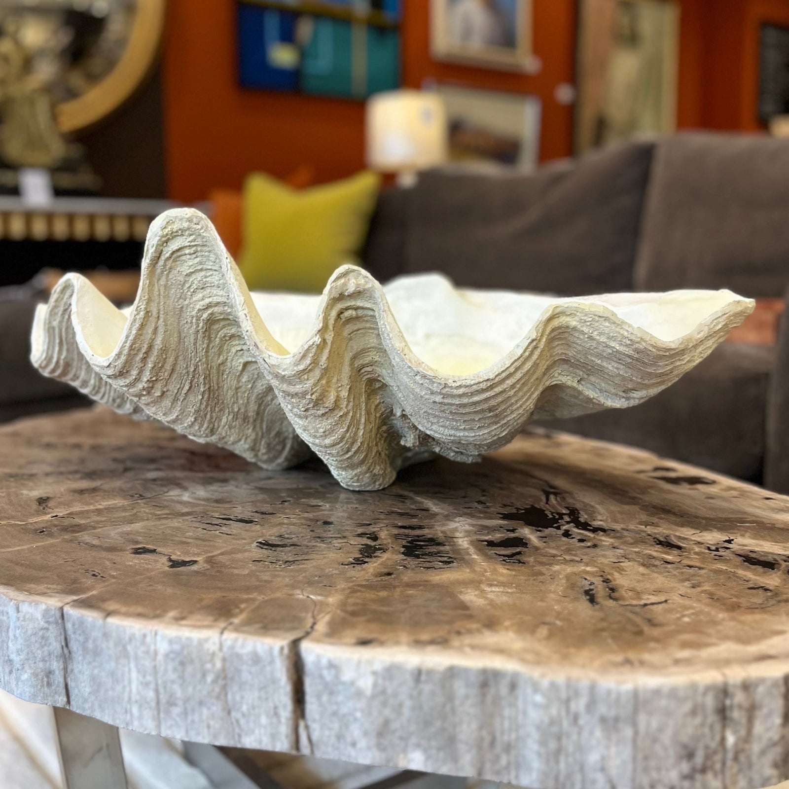 Faux Clam Shell - BARNBURY