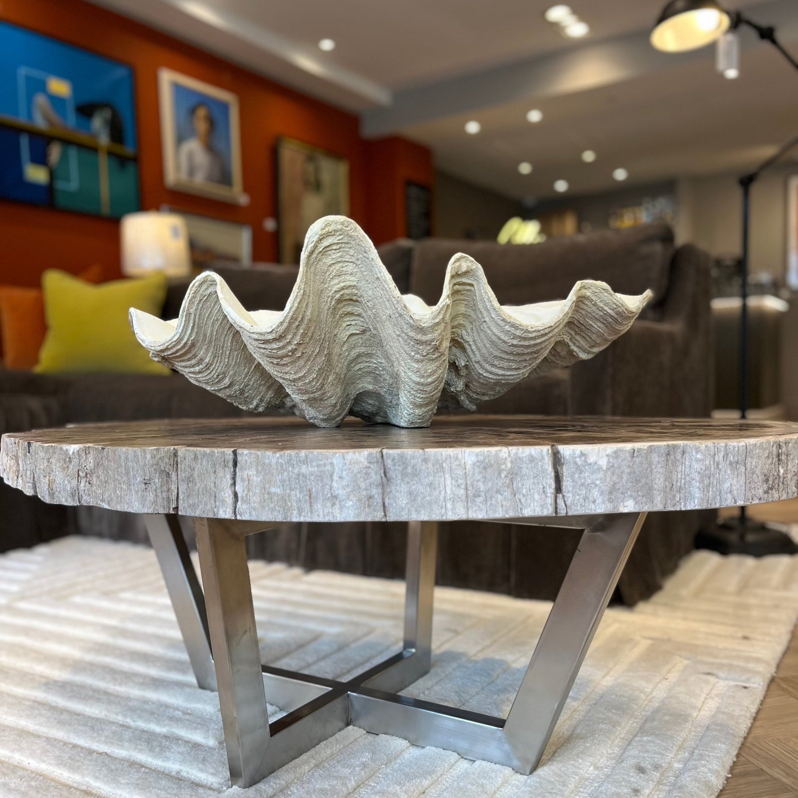 Faux Clam Shell - BARNBURY
