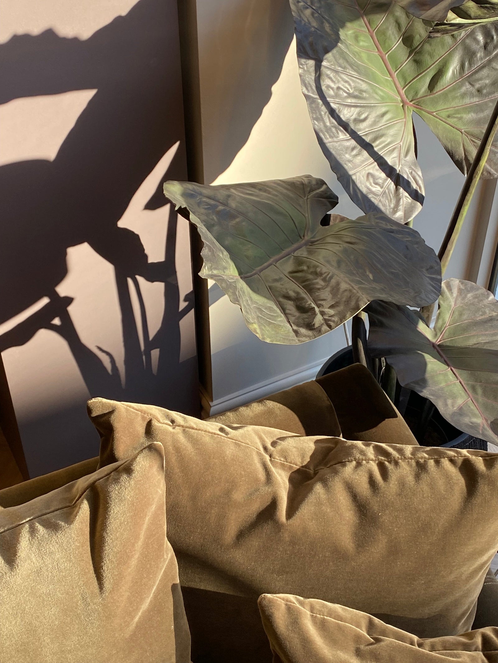 Large Faux Alocasia Faux Flowers and Plants Barnbury