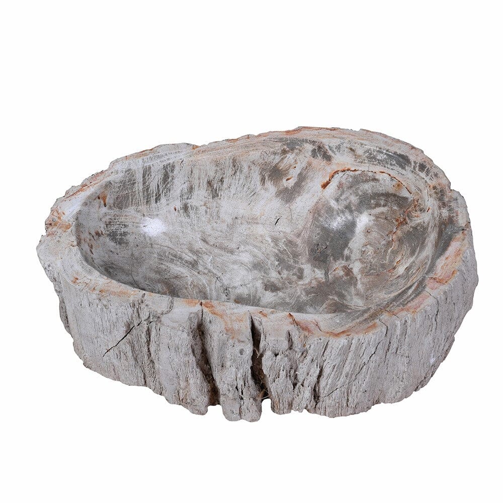 Large Natural Petrified Wood Bowl Home Decor BARNBURY