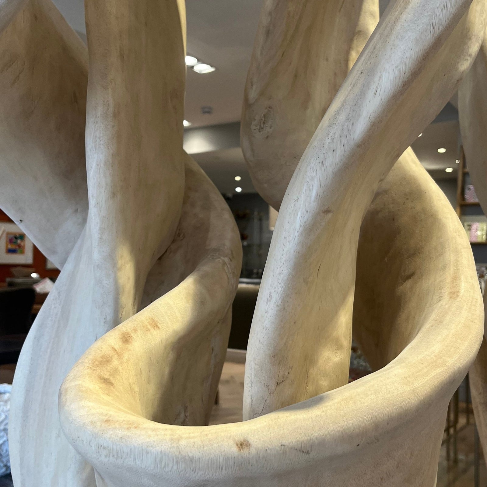 Large Suar Tree Root Sculpture - BARNBURY