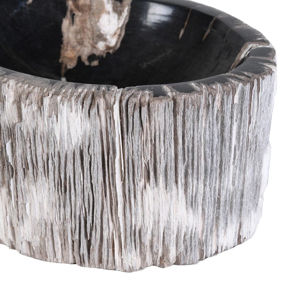 Natural Petrified Wood Bowl Home Decor BARNBURY