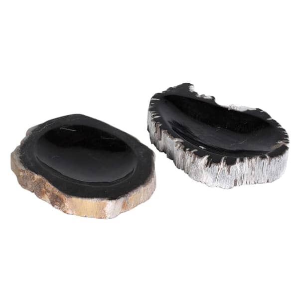 Small Petrified Wood Dish - BARNBURY