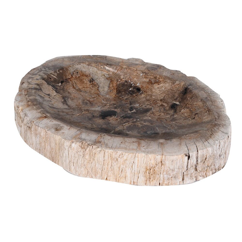Small Petrified Wood Dish Home Decor BARNBURY