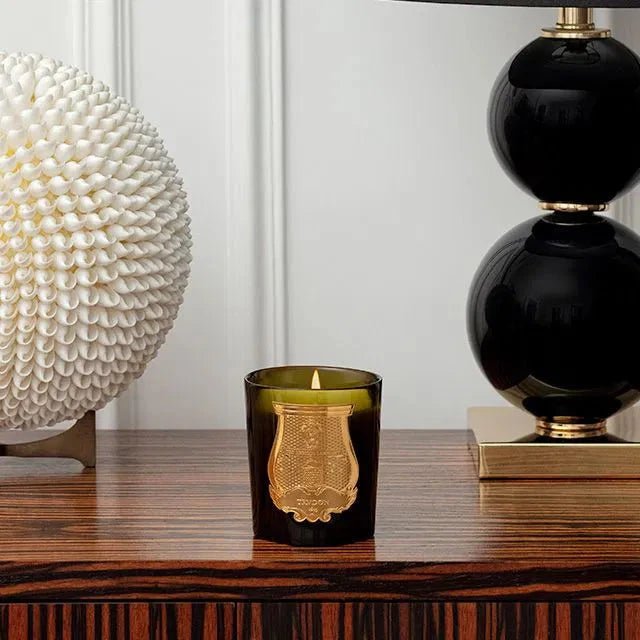 Trudon Abd el Kader Scented Candle - BARNBURY