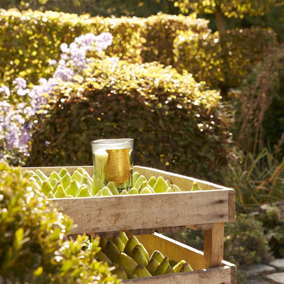 Trudon Figuerie Scented Candle - BARNBURY
