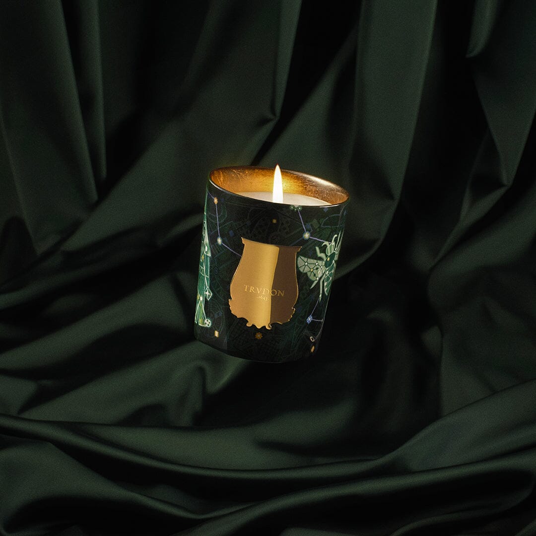 Trudon Fir Scented Candle Scented Candles Trudon