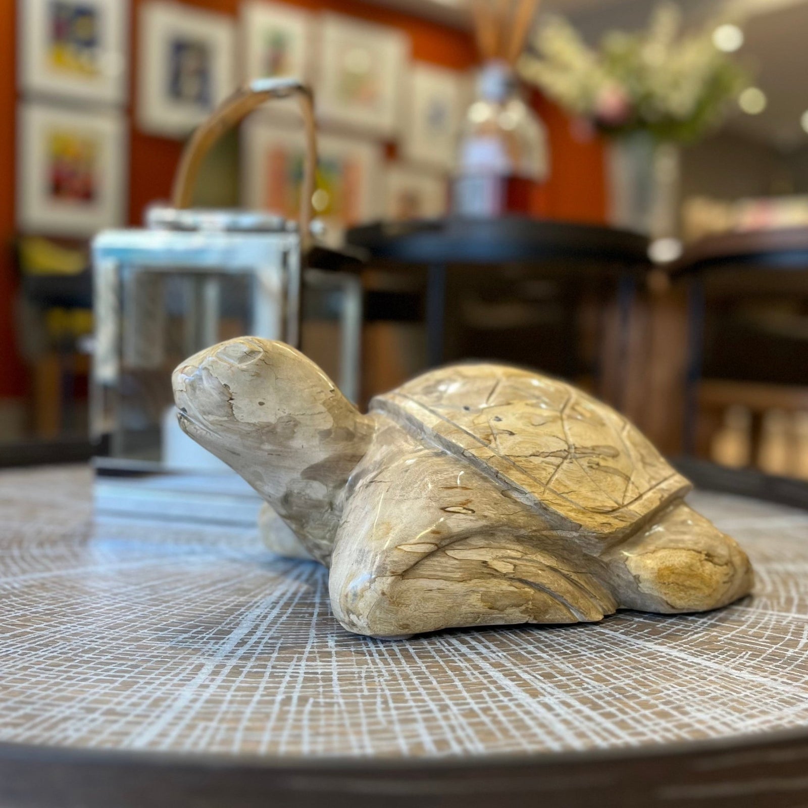 Unique Carved Petrified Wood Tortoise - BARNBURY
