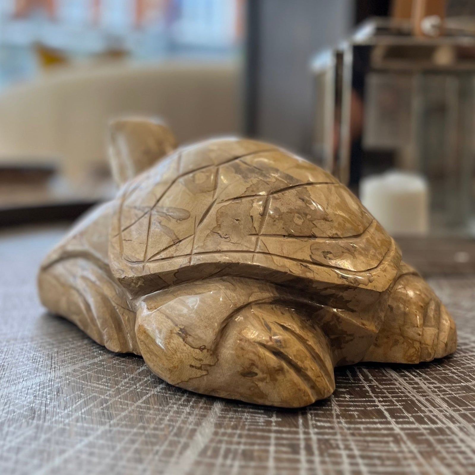 Unique Carved Petrified Wood Tortoise - BARNBURY