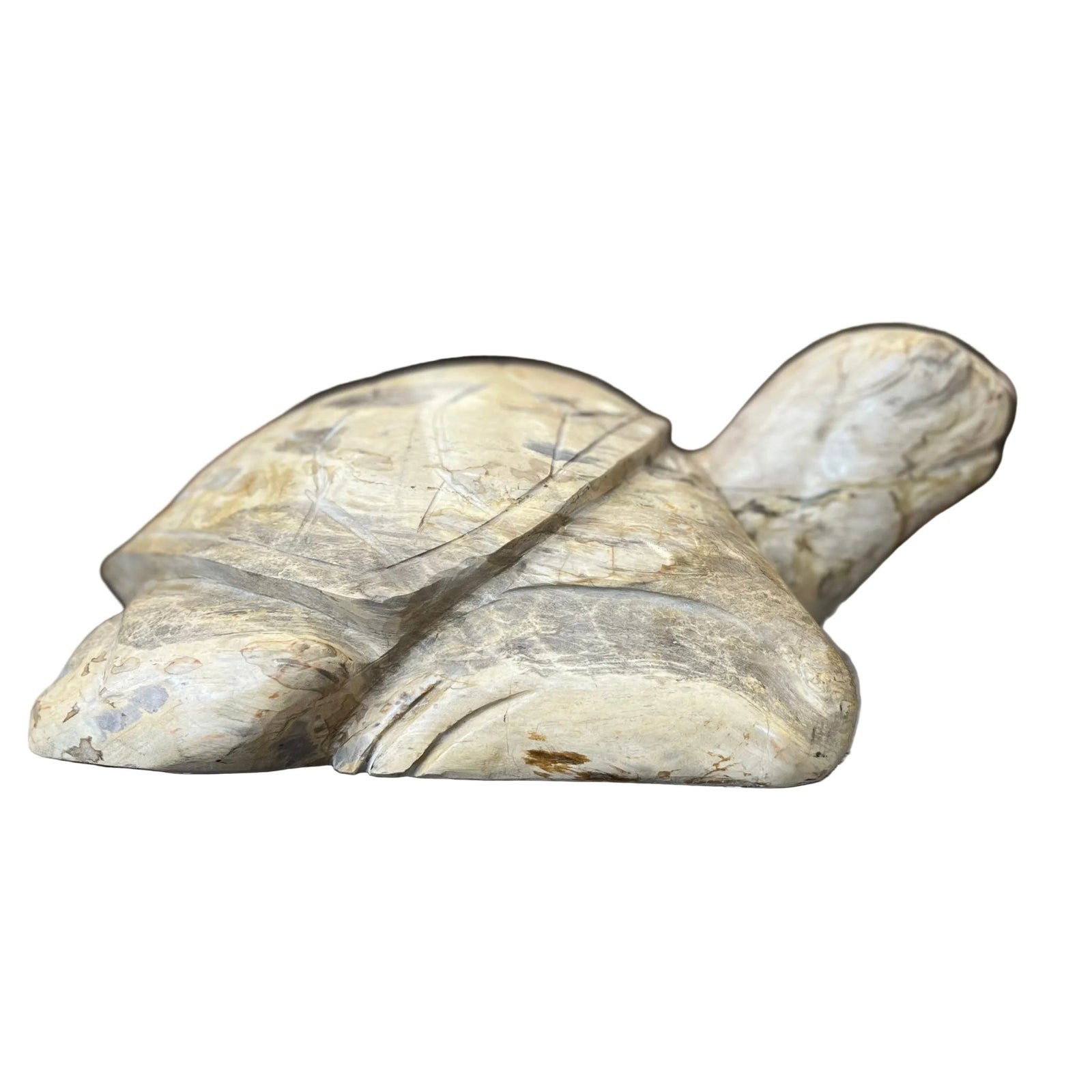 Unique Carved Petrified Wood Tortoise - BARNBURY