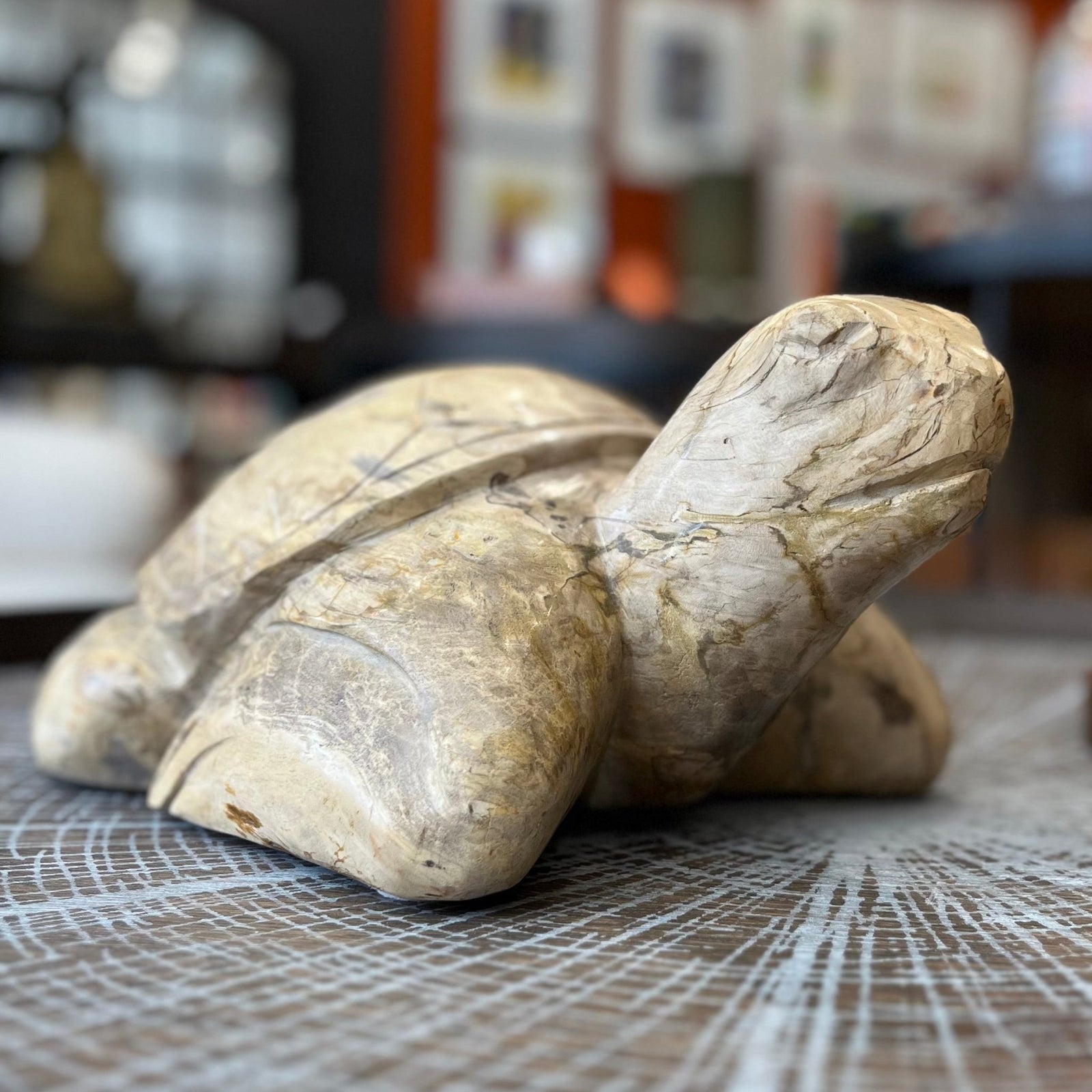 Unique Carved Petrified Wood Tortoise - BARNBURY