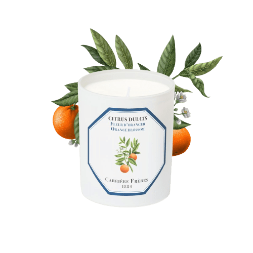 Carrière Frères Orange Blossom Scented Candle Scented Candle Carrière Frères