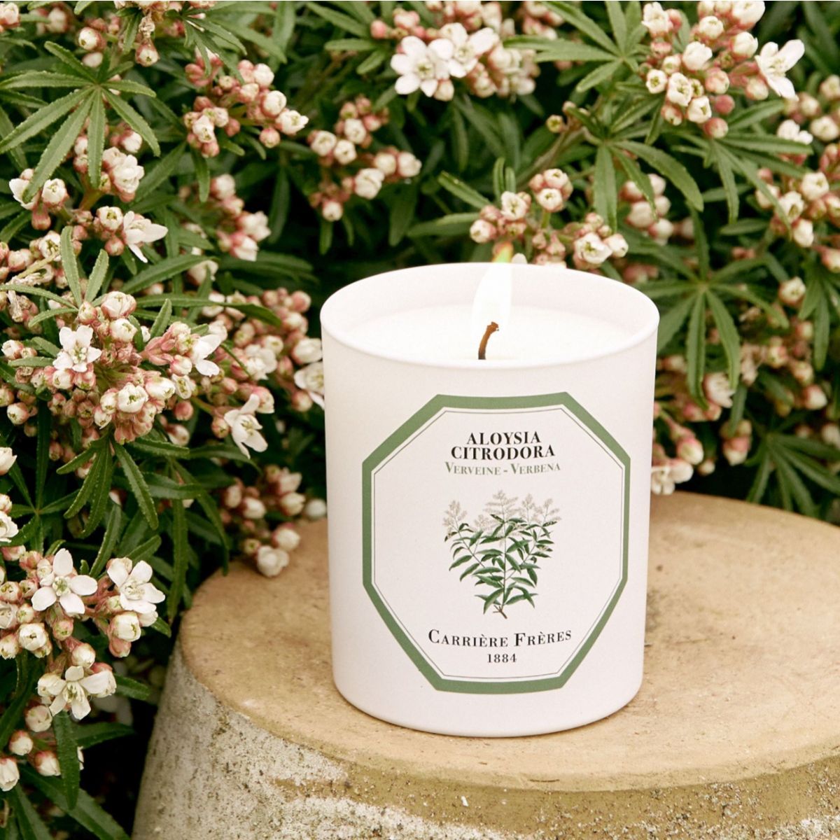 Carrière Frères Verbena Scented Candle Scented Candle Carrière Frères