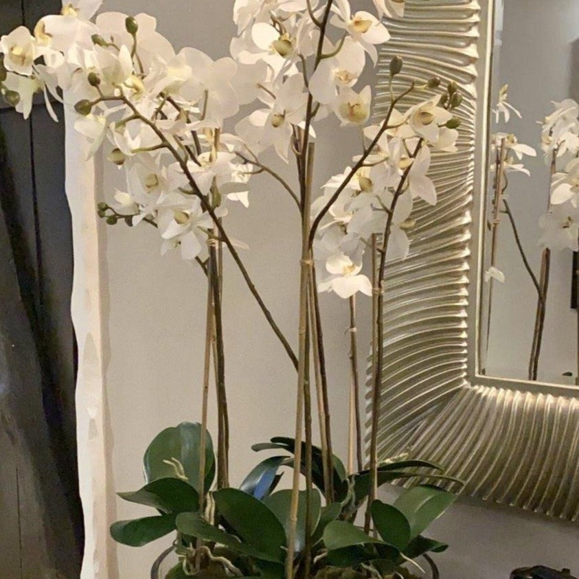 Faux Phalaenopsis Orchids in Glass Bowl Faux Flowers and Plants Barnbury
