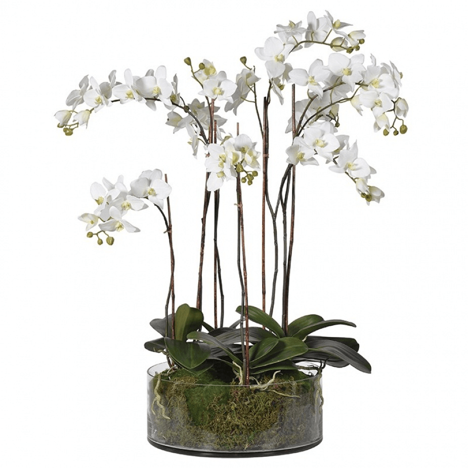 Faux Phalaenopsis Orchids in Glass Bowl Faux Flowers and Plants Barnbury