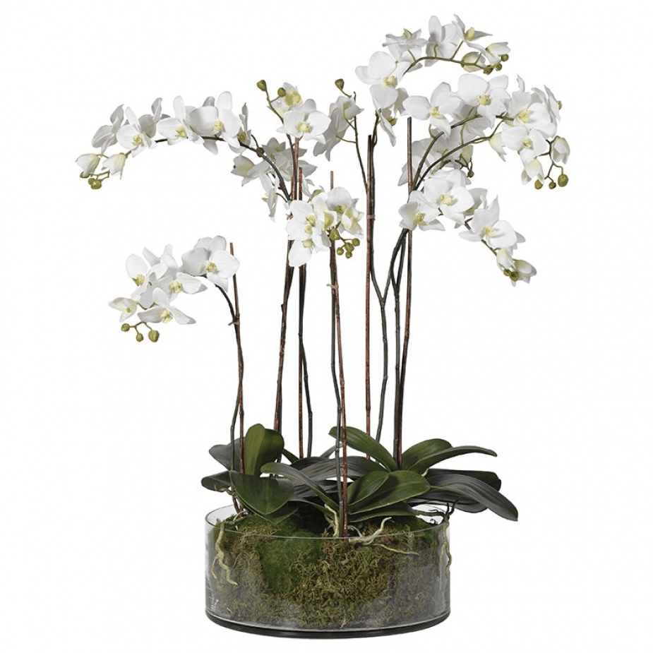 Faux Phalaenopsis Orchids in Glass Bowl - Barnbury