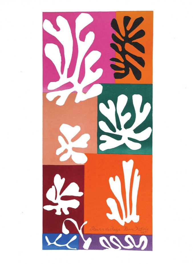 Henri Matisse - Fleurs de Neige - Barnbury