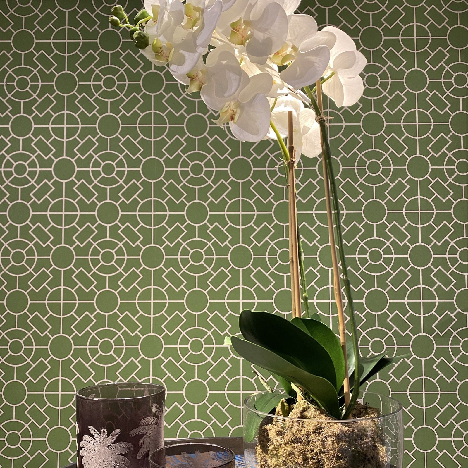 Medium Faux White Phalaennopis Orchid Faux Flowers and Plants Barnbury