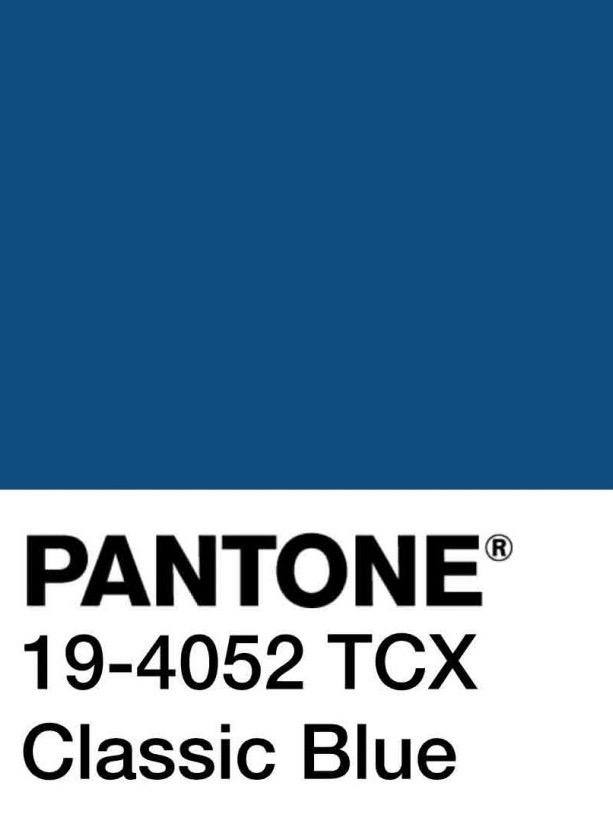 2020 Pantone Colour - BARNBURY