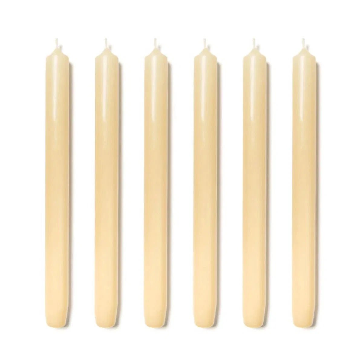 6 Trudon Ivory Royales Candles - BARNBURY