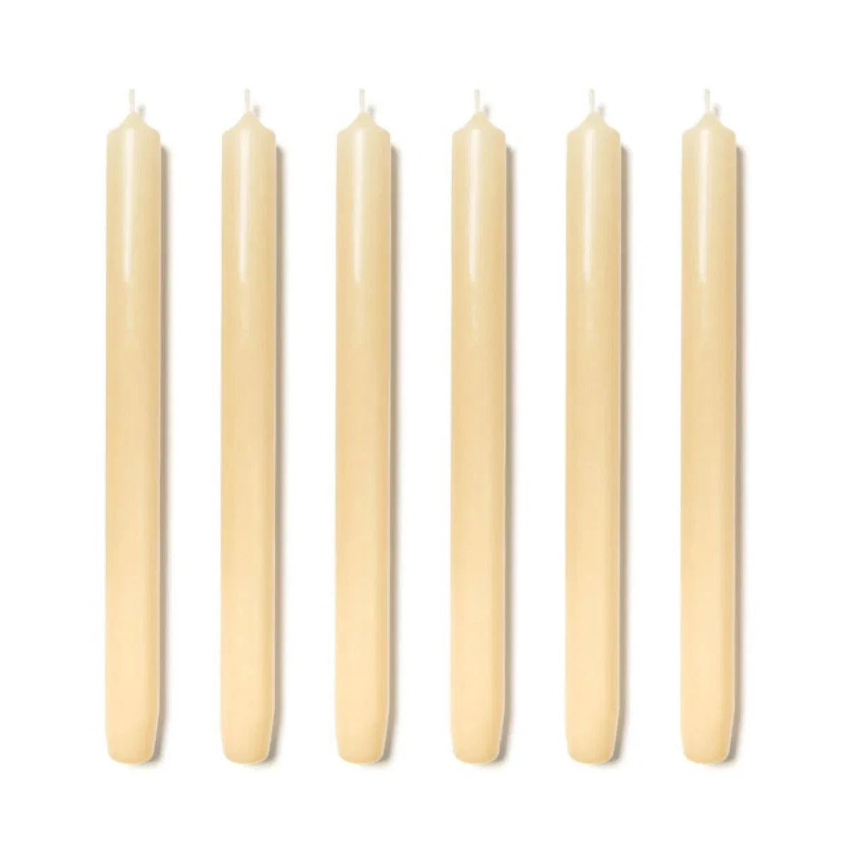 6 Trudon Ivory Royales Candles Candles Trudon 
