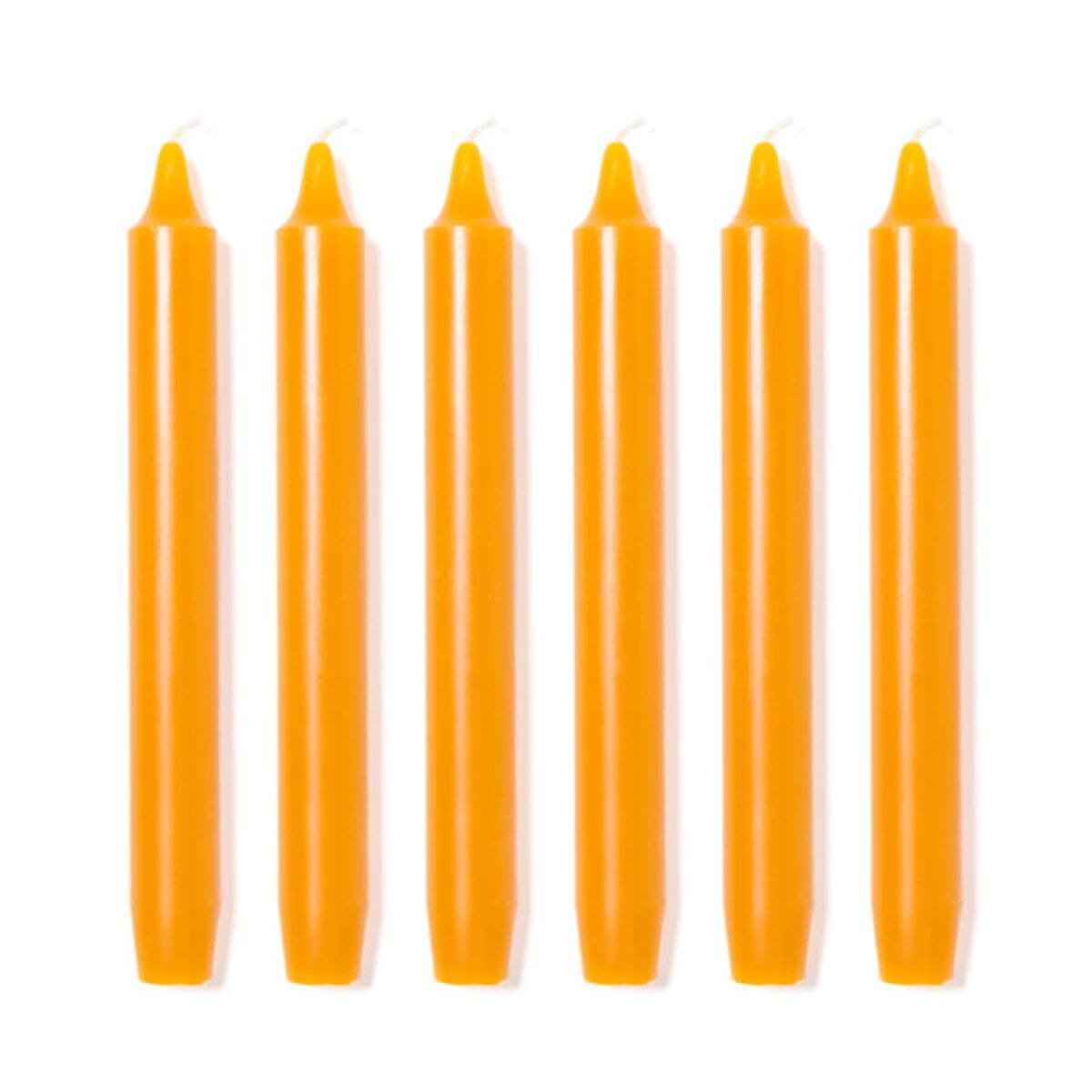 6 Trudon Mimosa Madeleine Candles Candles Cire Trudon 
