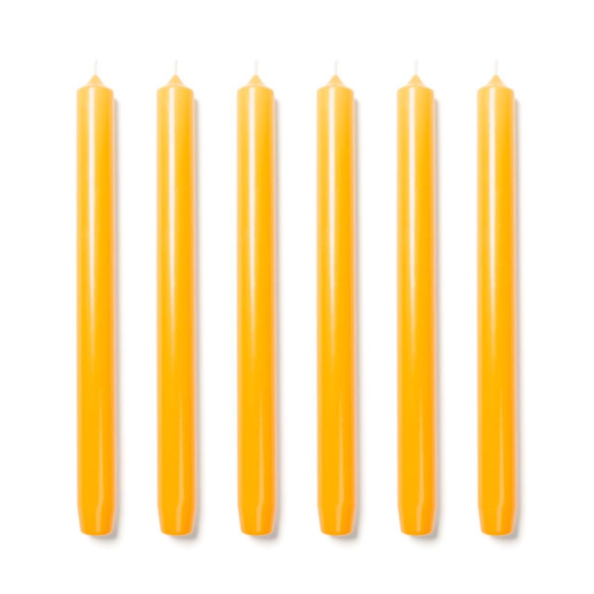 6 Trudon Mimosa Royales Candles - BARNBURY