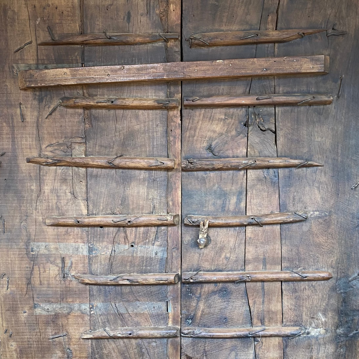 A Pair of Antique Painted Indian Doors on Stand