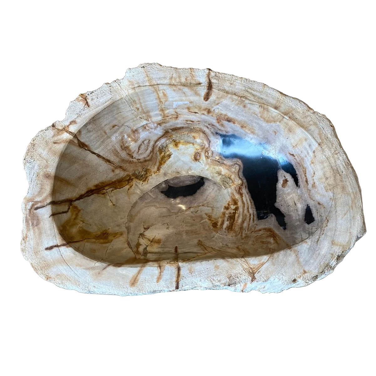 Petrified Wood Bowl - Pale Stone Oval