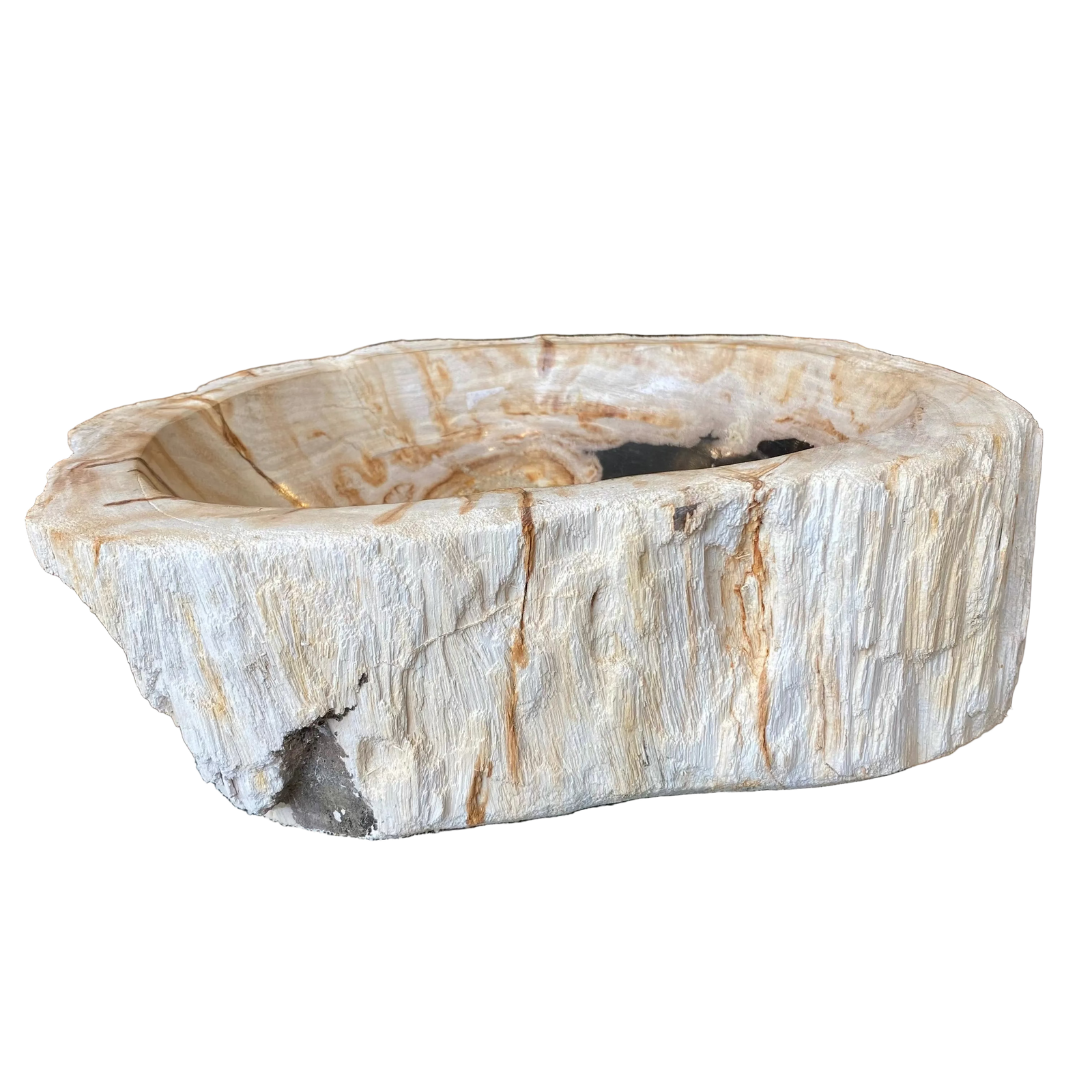 Petrified Wood Bowl - Pale Stone Oval