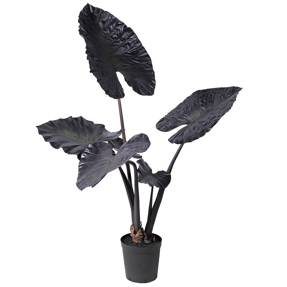 Large Faux Alocasia Faux Flowers and Plants Barnbury 