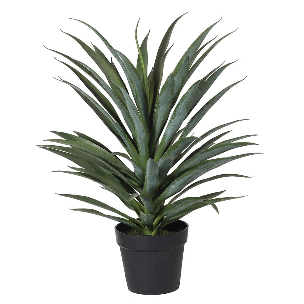 Faux Yucca Plant Faux Flowers and Plants Barnbury 