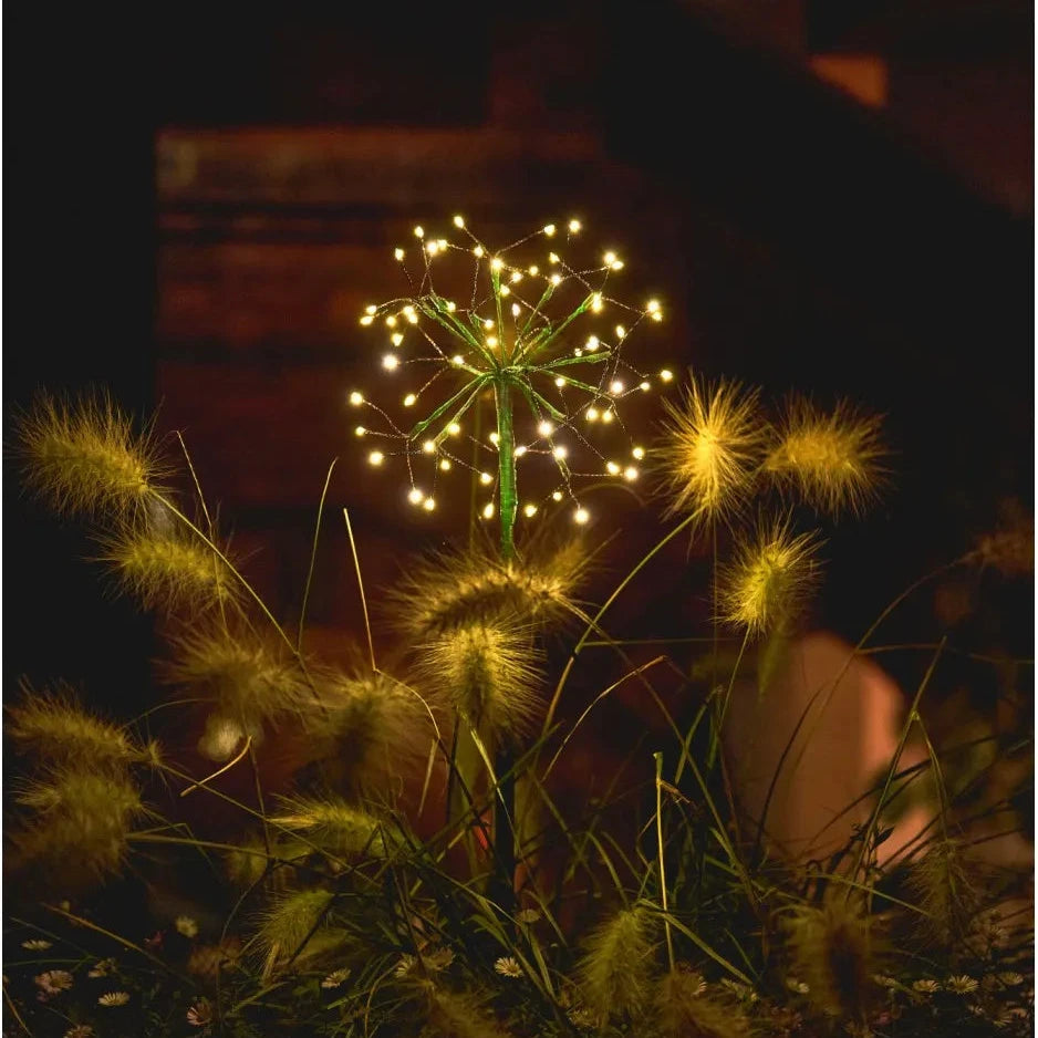 20cm Dual Power LED Dandelion