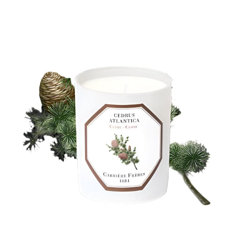 Carrière Frères Cypress Scented Candle Scented Candle Carrière Frères 