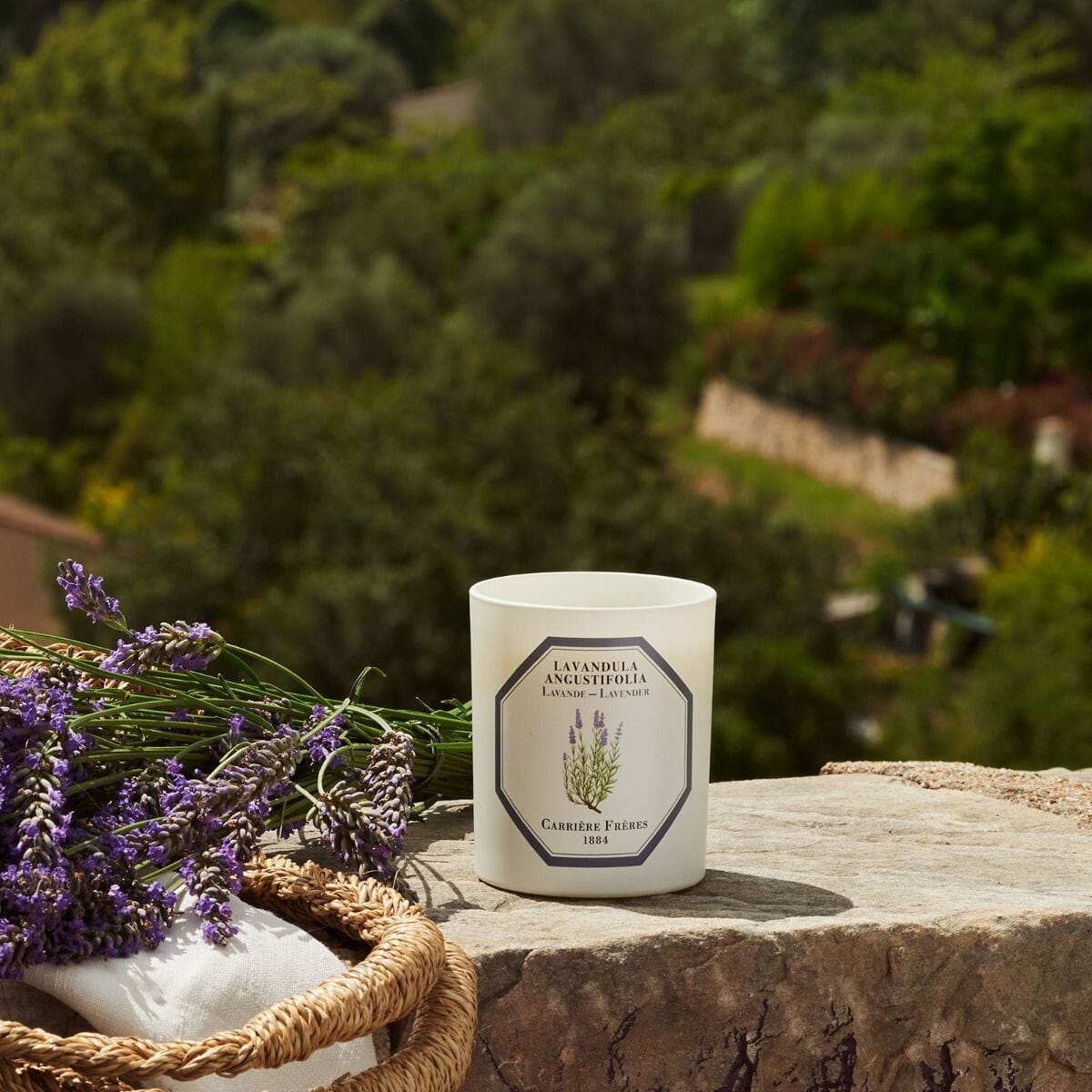 Carrière Frères Lavender Scented Candle Scented Candle Carrière Frères 