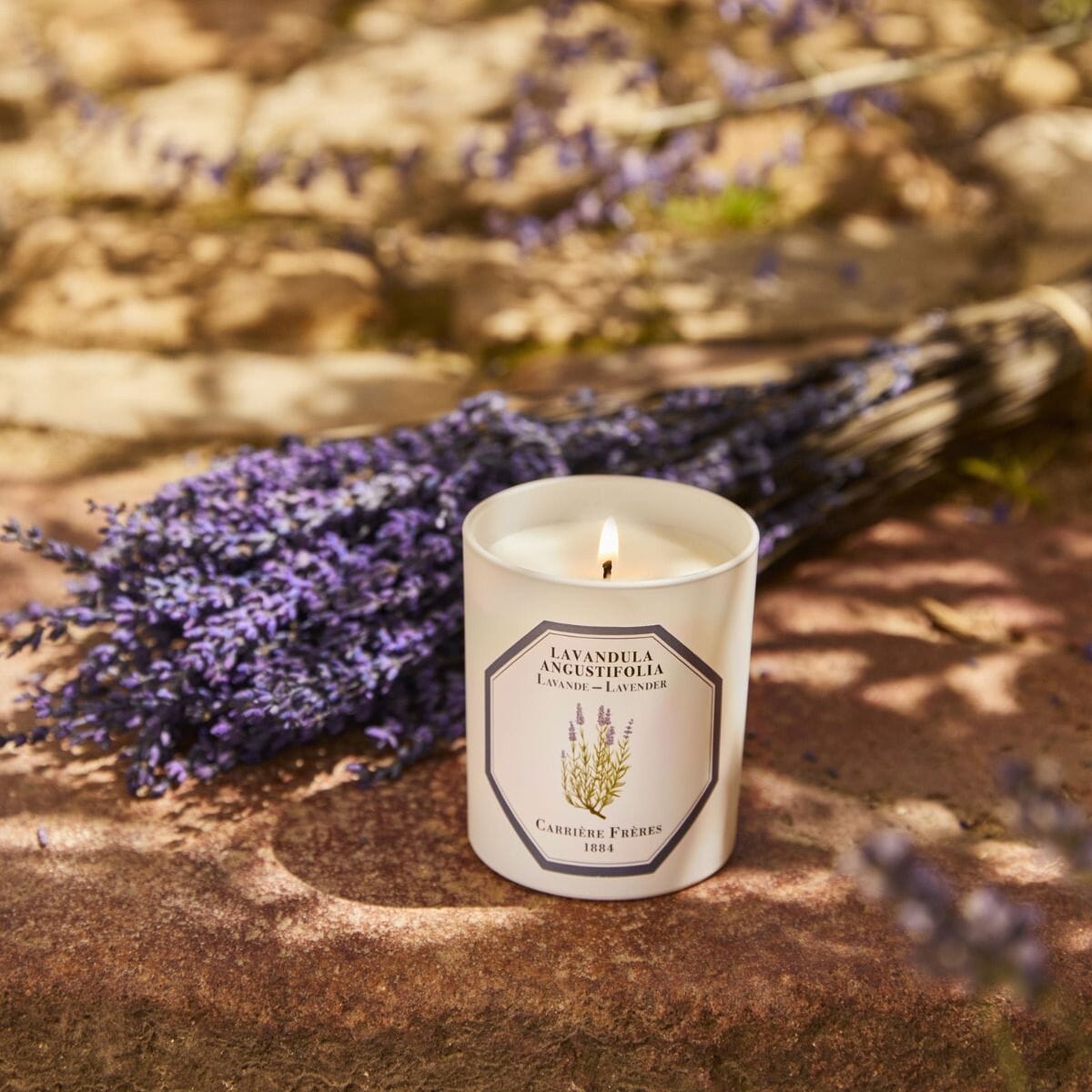 Carrière Frères Lavender Scented Candle Scented Candle Carrière Frères 