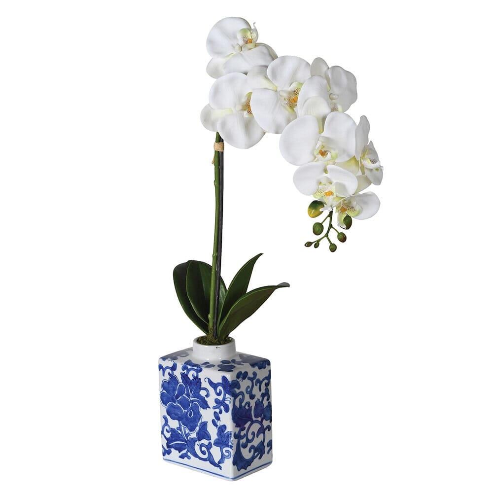 Faux Orchid in Ceramic Blue and White Vase Faux Flowers and Plants Barnbury 