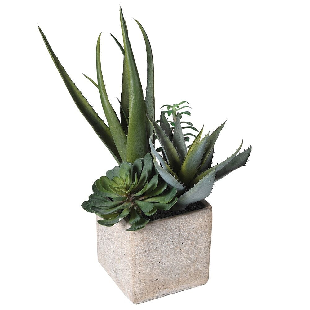 Faux Potted Cacti and Succulents. Faux Flowers and Plants Barnbury 