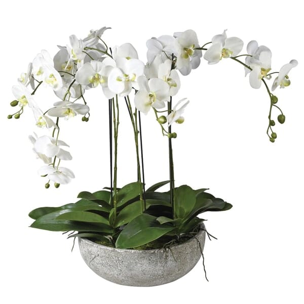 Faux Phalaenopsis Orchids in distressed Planter Faux Flowers and Plants Barnbury 