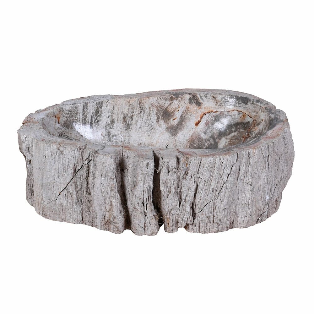 Large Natural Petrified Wood Bowl Home Decor BARNBURY 