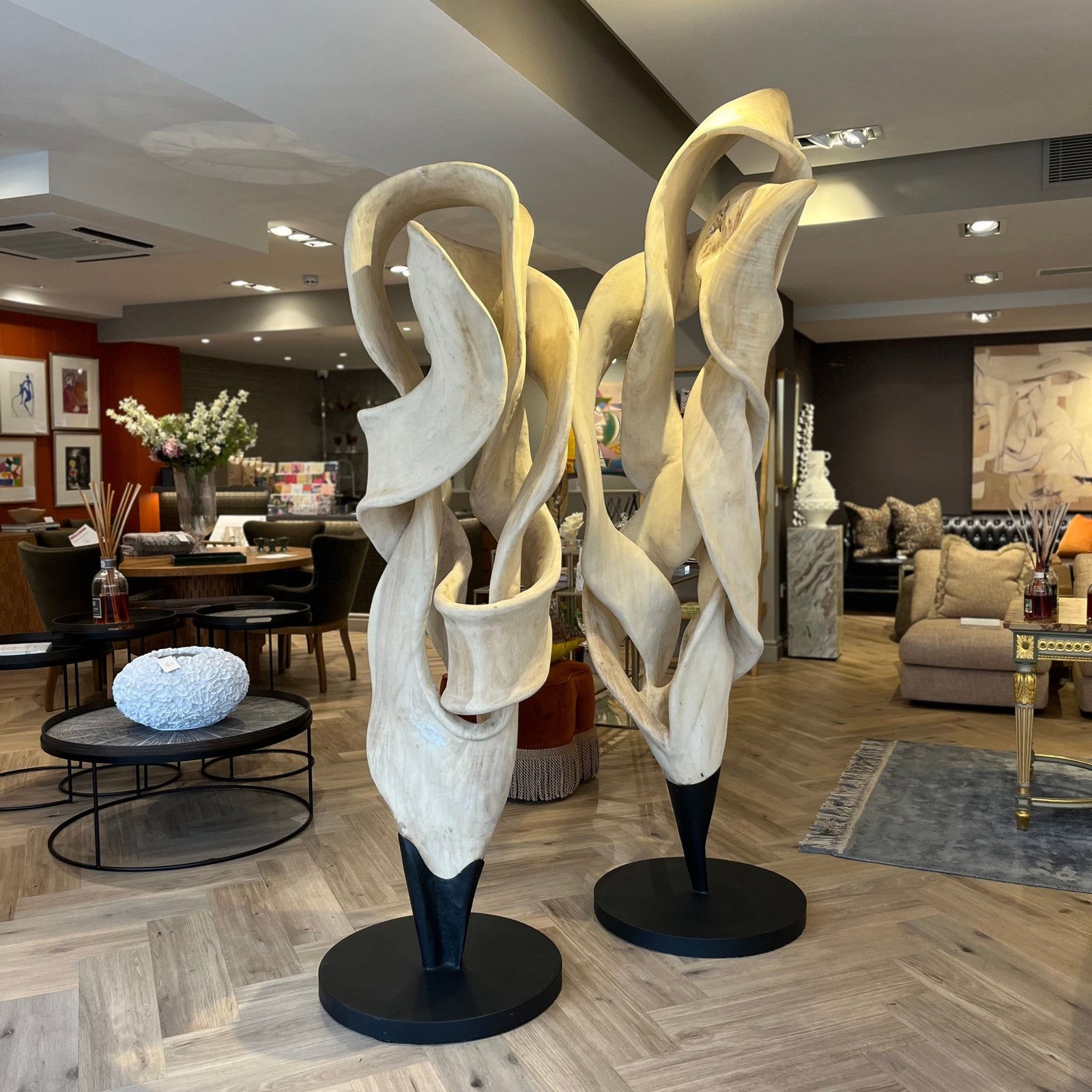 Large Suar Tree Root Sculpture - BARNBURY