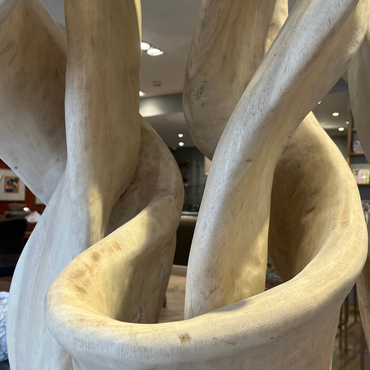 Large Suar Tree Root Sculpture - BARNBURY