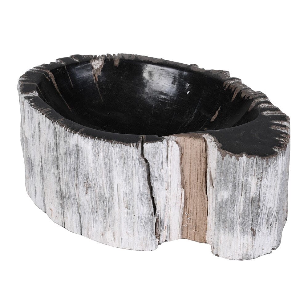 Natural Petrified Wood Bowl Home Decor BARNBURY 