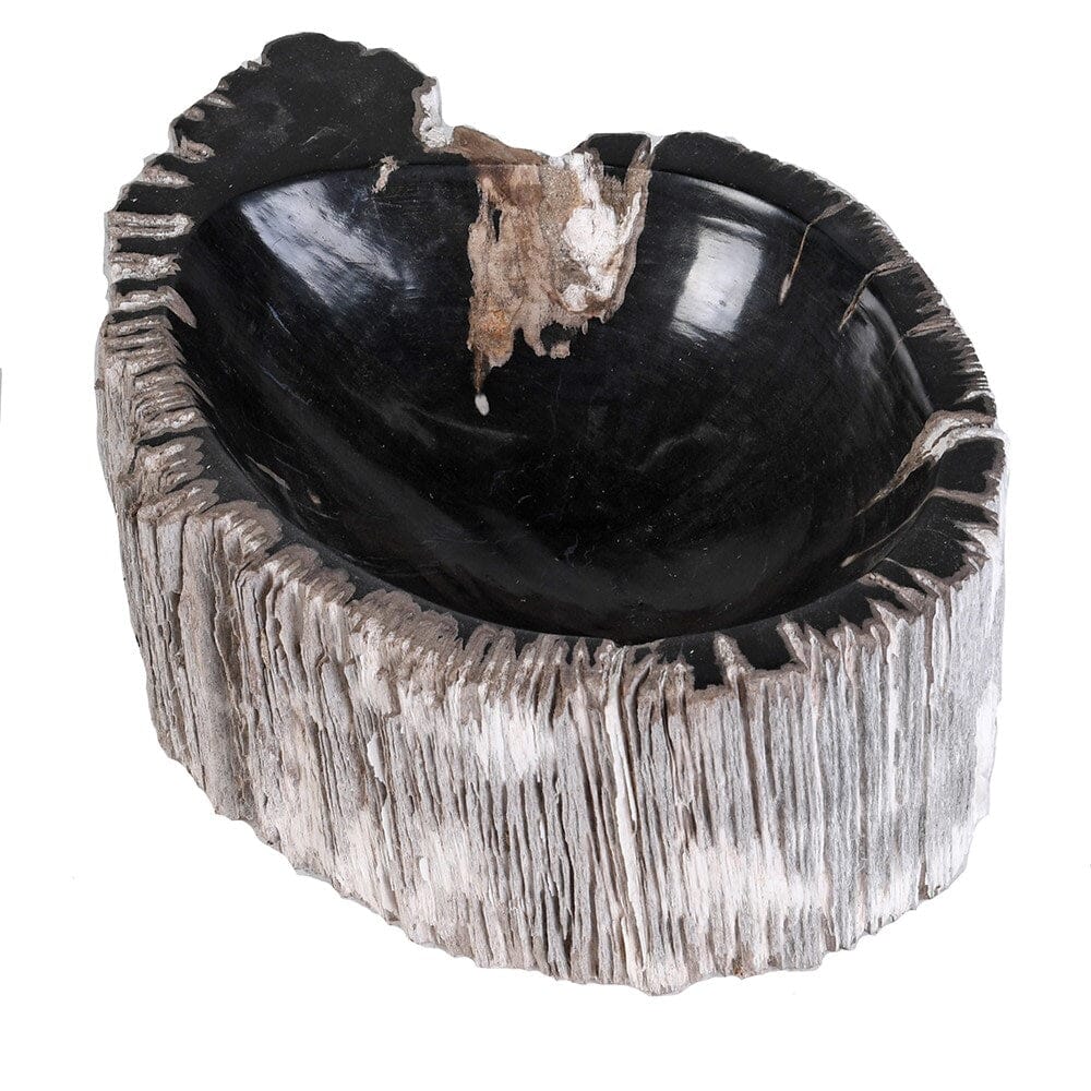 Natural Petrified Wood Bowl Home Decor BARNBURY 