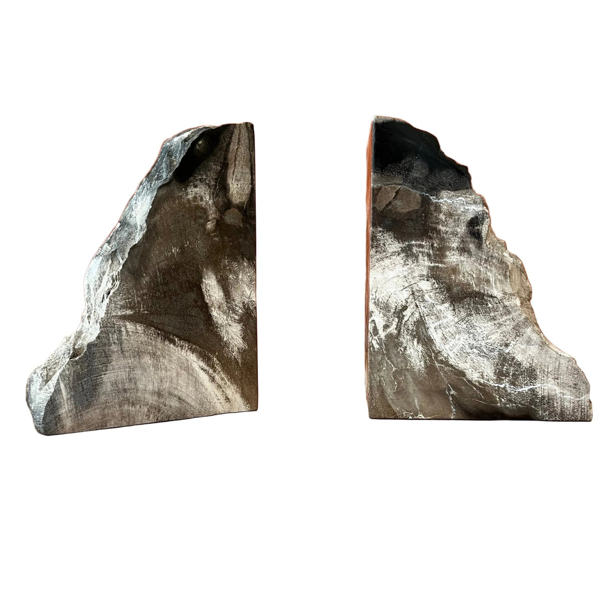 Pair of Dark Petrified Wood Bookends - BARNBURY