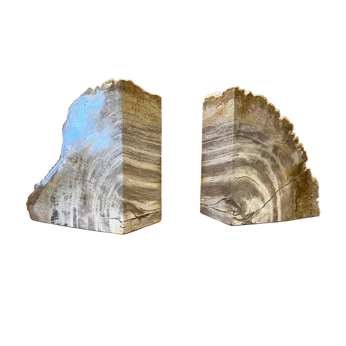 Pair of Pale Petrified Wood Bookends - BARNBURY