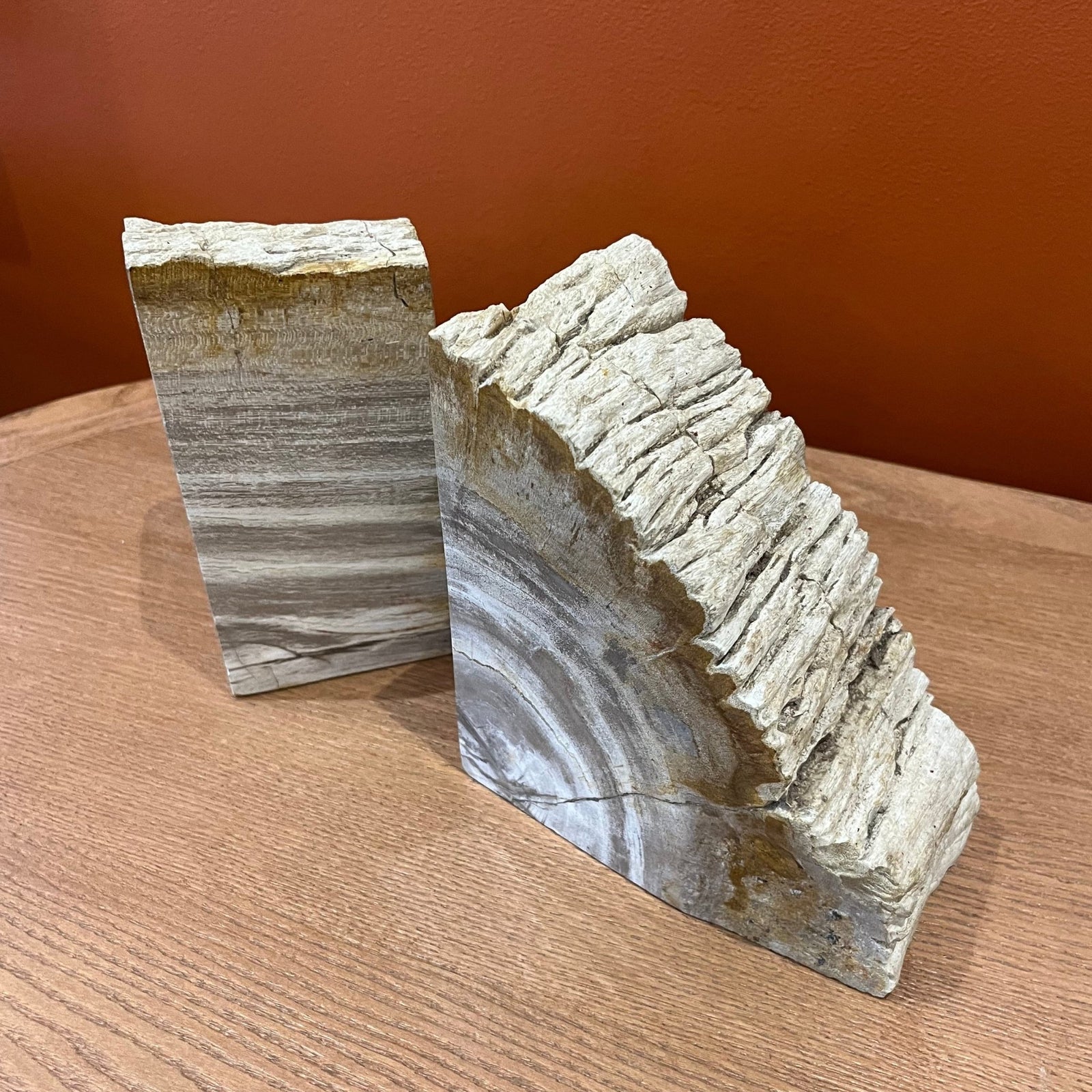 Pair of Pale Petrified Wood Bookends - BARNBURY