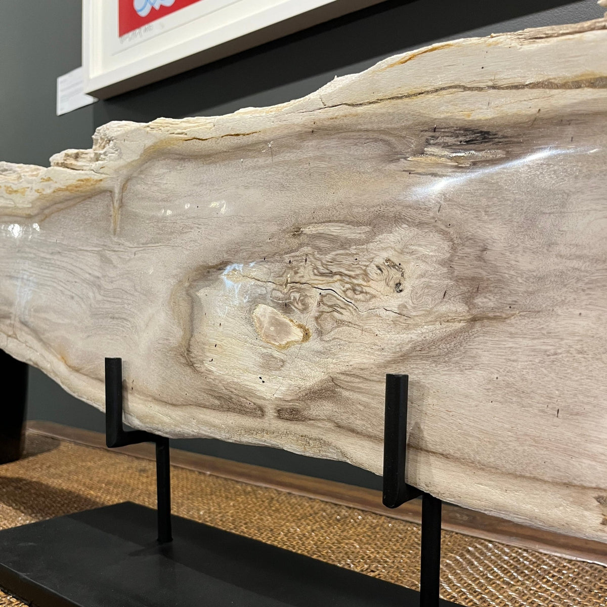 Petrified Pale Wood Slice on Stand - BARNBURY