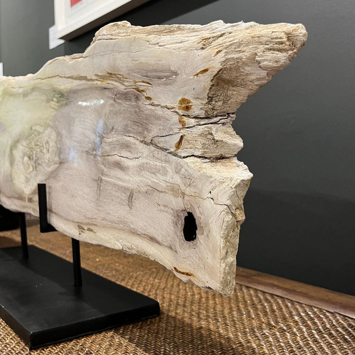 Petrified Pale Wood Slice on Stand - BARNBURY