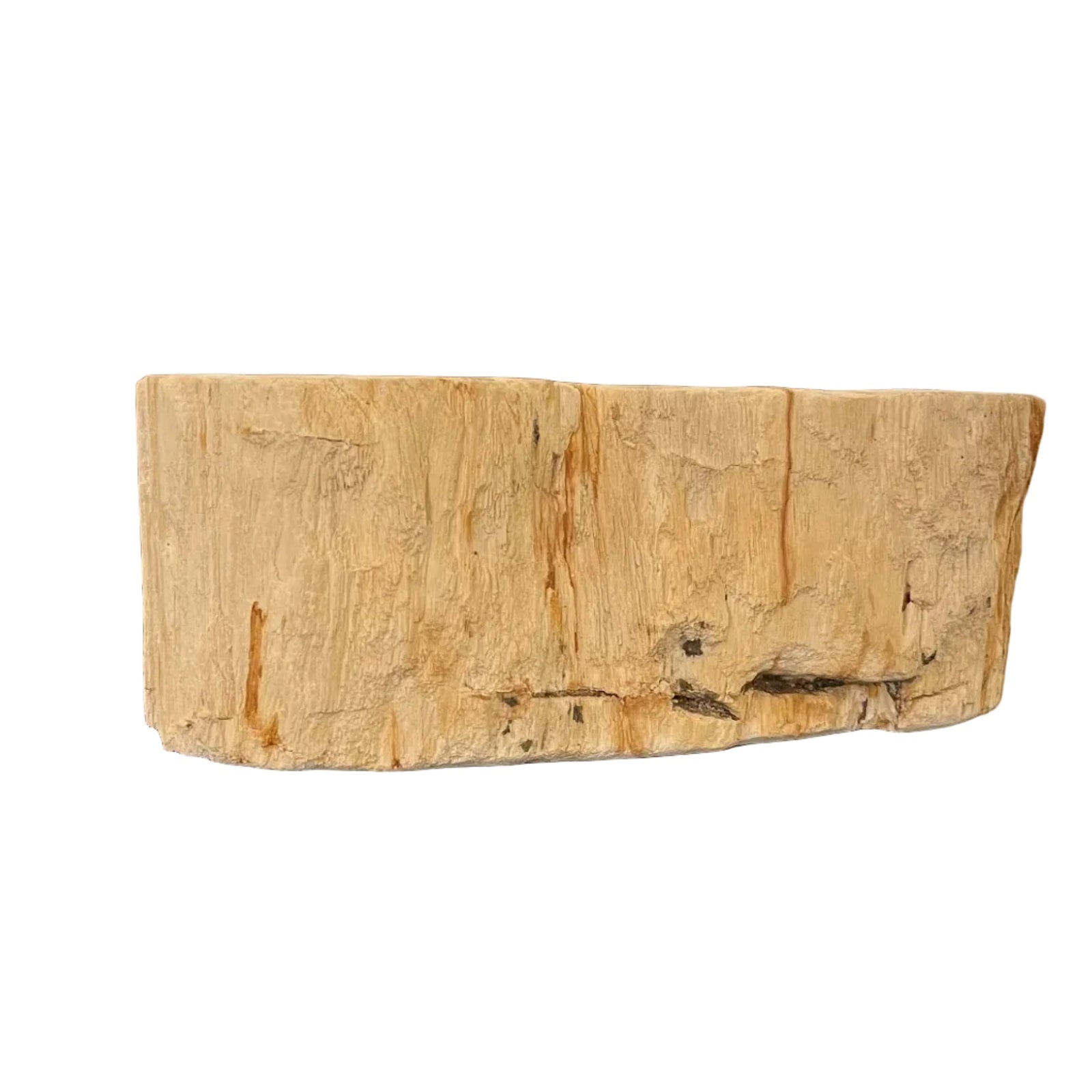 Petrified Wood Bowl - Cream Stone with Copper Veins - BARNBURY